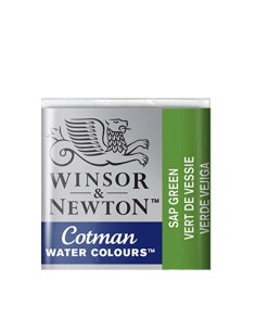 Acuarela W&N Cotman 1/2 Godet Verde Vejiga