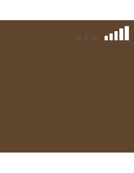 Spray Montana MTN 94 Marrón Góndola 141