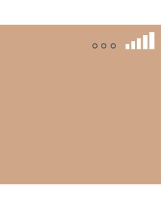 Spray Montana MTN 94 Marrón Tana 95