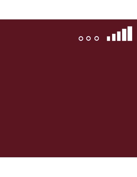 Spray Montana MTN 94 Marrón Guerrero 205