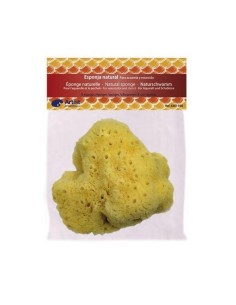 Esponja Artist Natural 15 cm