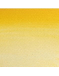 Acuarela W&N Professional 1/2 Godet Amarillo de Turner 2