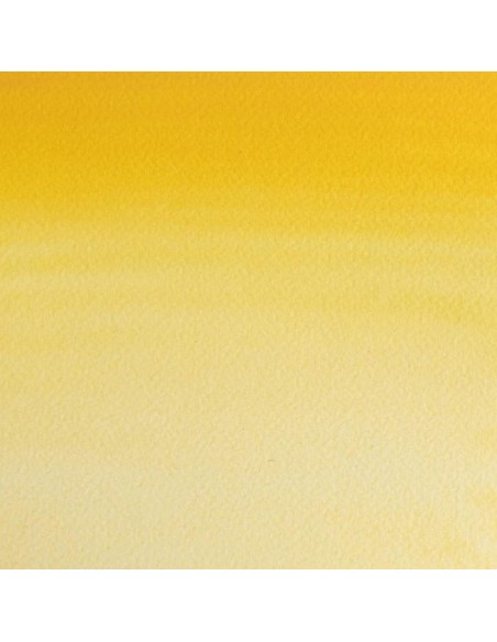 Acuarela W&N Professional 1/2 Godet Amarillo de Turner