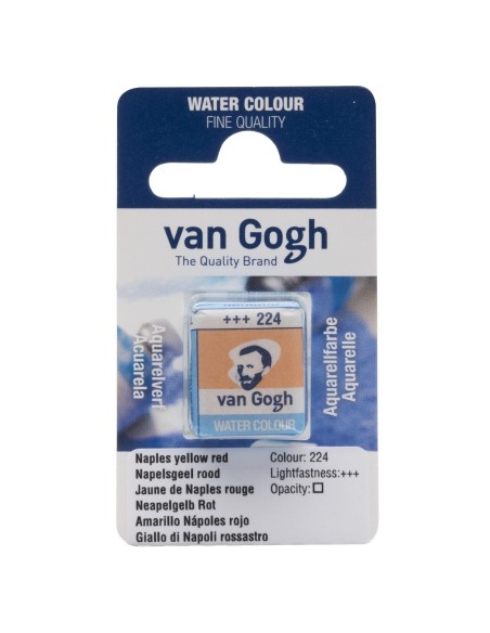 Acuarela Van Gogh 1/2 Godet Amarillo Nápoles Rojizo Nº224 