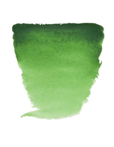 Acuarela Van Gogh Tubo 10 ml Verde Hooker Claro Nº644