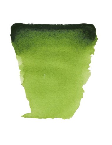 Acuarela Van Gogh 1/2 Godet Verde Vejiga Nº623 