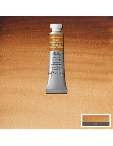 Acuarela W&N Professional Tubo Tierra de Sombra...