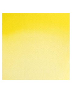 Acuarela W&N Professional 1/2 Godet Amarillo Bismuto 2