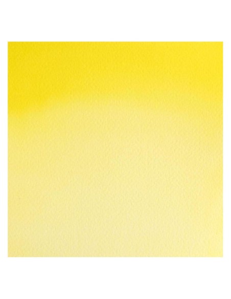 Acuarela W&N Professional 1/2 Godet Amarillo Bismuto