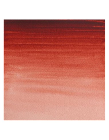 Acuarela W&N Professional 1/2 Godet Pardo de...