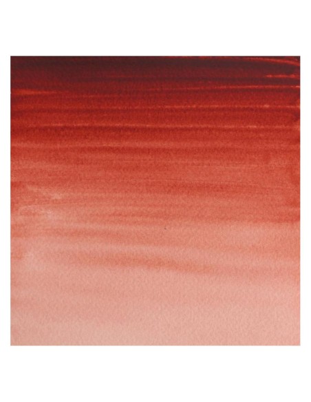 Acuarela W&N Professional 1/2 Godet Pardo de Granza