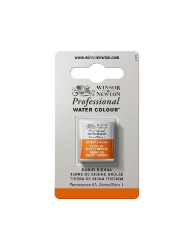 Acuarela W&N Professional 1/2 Godet Tierra...