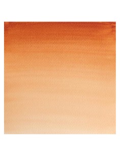 Acuarela W&N Professional 1/2 Godet Tierra Siena Tostada 2