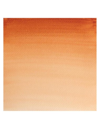 Acuarela W&N Professional 1/2 Godet Tierra...