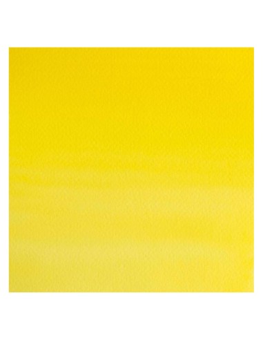 Acuarela W&N Professional 1/2 Godet Limón de...