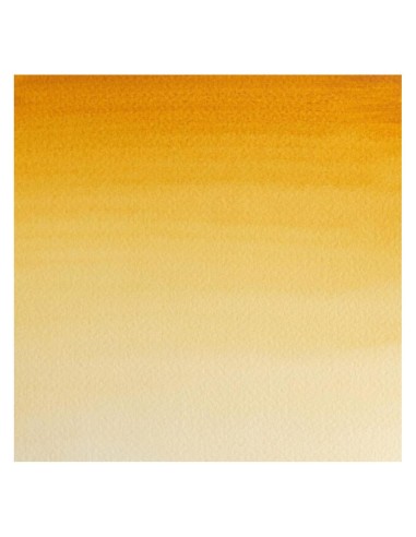 Acuarela W&N Professional 1/2 Godet Tierra de...