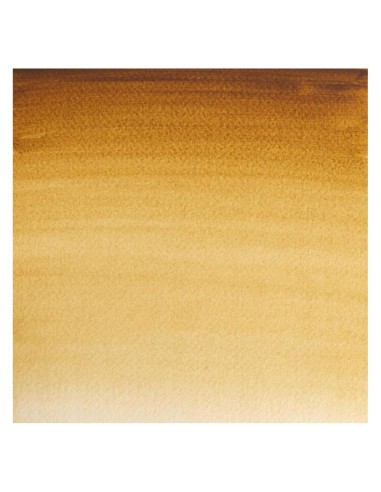 Acuarela W&N Professional 1/2 Godet Tierra de...