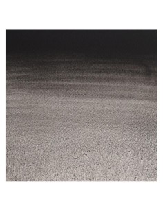 Acuarela W&N Professional 1/2 Godet Negro de Marte 2