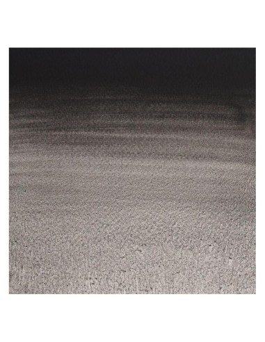 Acuarela W&N Professional 1/2 Godet Negro de Marte