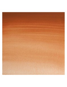 Acuarela W&N Professional 1/2 Godet Marrón Magnesio 2