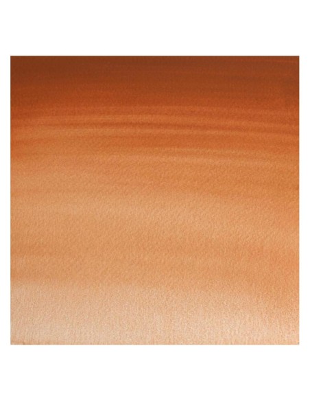 Acuarela W&N Professional 1/2 Godet Marrón Magnesio