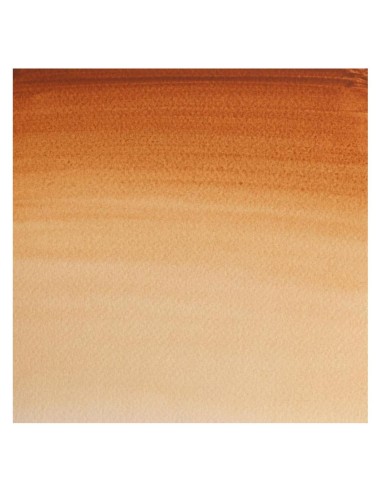 Acuarela W&N Professional 1/2 Godet Ocre Marrón