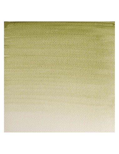 Acuarela W&N Professional 1/2 Godet Tierra...