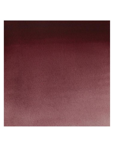 Acuarela W&N Professional 1/2 Godet Violeta de...