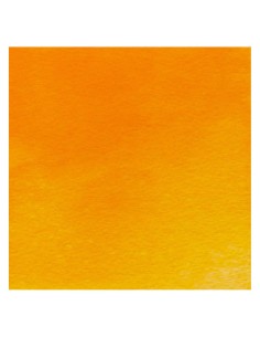 Acuarela W&N Professional 1/2 Godet Naranja Winsor (Matiz... 2