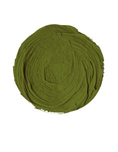 Óleo Titan Verde Cinabrio Tostado Nº 89 2