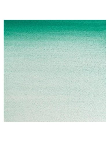 Acuarela W&N Professional 1/2 Godet Verde de...