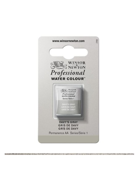 Acuarela W&N Professional 1/2 Godet Gris de Davy
