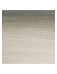 Acuarela W&N Professional 1/2 Godet Gris de Davy 2