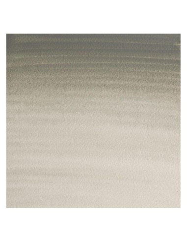 Acuarela W&N Professional 1/2 Godet Gris de Davy