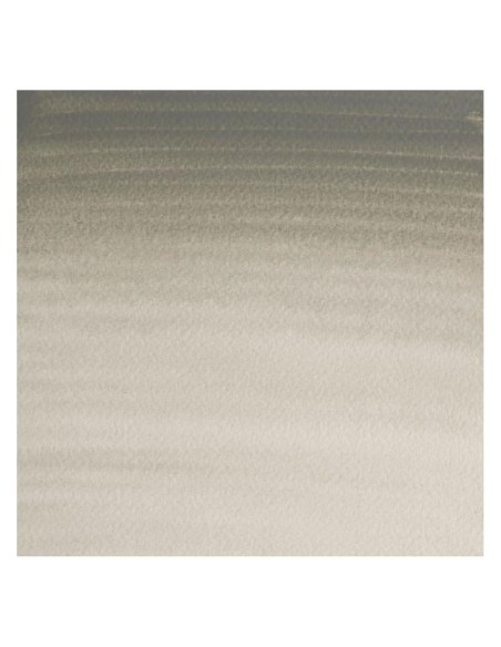 Acuarela W&N Professional 1/2 Godet Gris de Davy