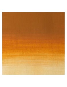 Acuarela W&N Professional 1/2 Godet Ocre Oro 2