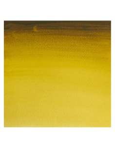 Acuarela W&N Professional 1/2 Godet Oro Verde 2