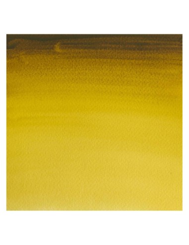 Acuarela W&N Professional 1/2 Godet Oro Verde