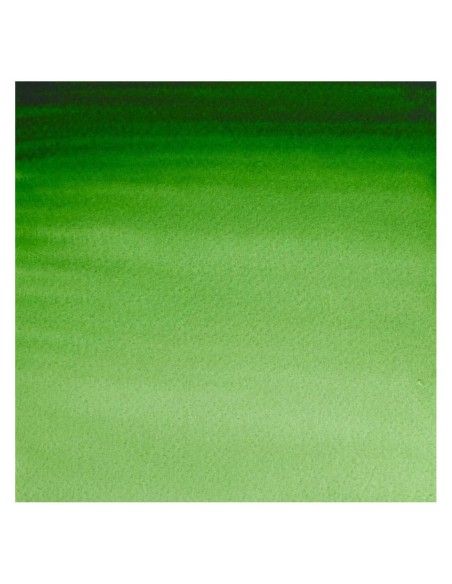 Acuarela W&N Professional 1/2 Godet Verde de Hooker