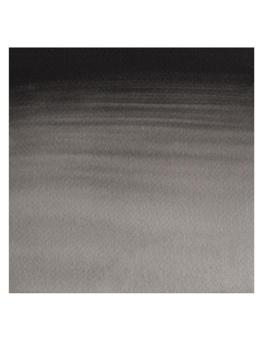 Acuarela W&N Professional 1/2 Godet Negro de Humo