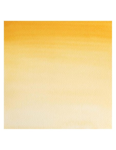 Acuarela W&N Professional 1/2 Godet Amarillo de Nápoles Oscuro