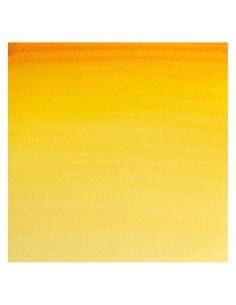 Acuarela W&N Professional 1/2 Godet Gustagamba Nuevo 2