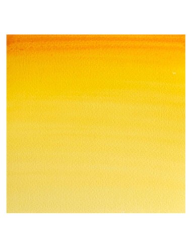 Acuarela W&N Professional 1/2 Godet Gustagamba...