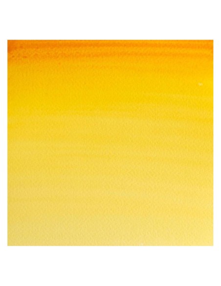 Acuarela W&N Professional 1/2 Godet Gustagamba Nuevo