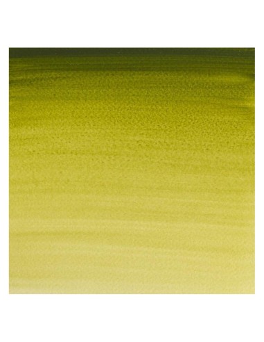 Acuarela W&N Professional 1/2 Godet Verde Oliva