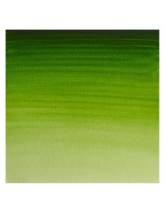 Acuarela W&N Professional 1/2 Godet Verde Vejiga Permanente 2