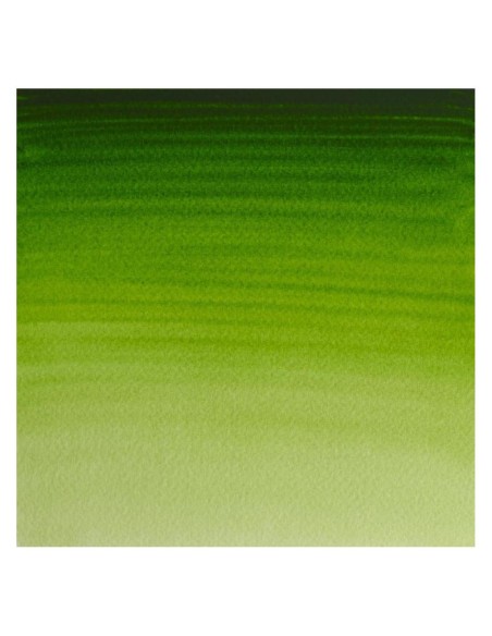 Acuarela W&N Professional 1/2 Godet Verde Vejiga Permanente