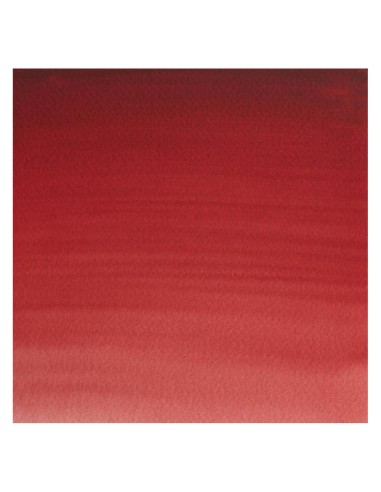 Acuarela W&N Professional 1/2 Godet Marrón...