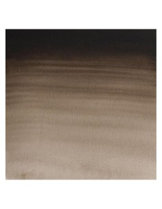 Acuarela W&N Professional 1/2 Godet Sepia 2