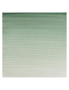 Acuarela W&N Professional 1/2 Godet Tierra Verde 2